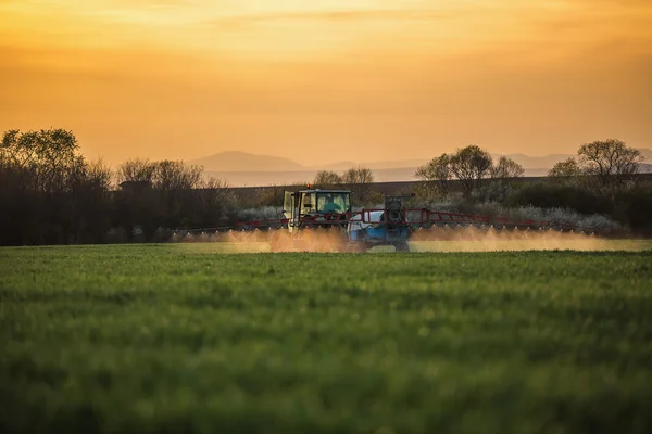 Traktor versprüht Weizenfeld mit Sprüher — Stockfoto