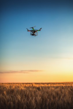 Varna, Bulgaristan - 23 Haziran 2015: Uçan uçak quadcopter ile DJI indeks işlem Pha