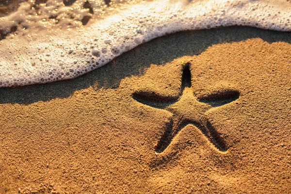 Starfish on the beach — Stock Photo, Image