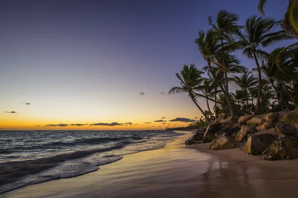 Caribisch wild strand, Punta Cana — Stockfoto