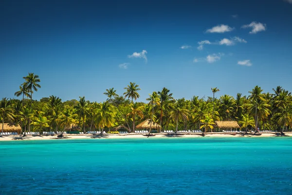 Palmbomen op het tropische strand — Stockfoto