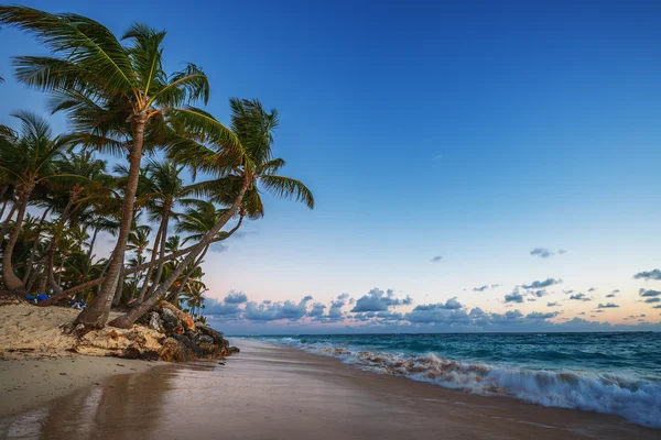 Playa salvaje del Caribe, Punta Cana — Foto de Stock