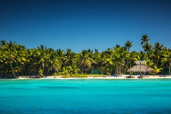Palme sulla spiaggia tropicale — Foto Stock