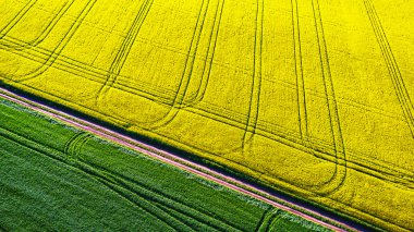 Tarımsal alanların üzerinde hava manzarası