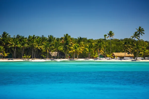 Palmbomen op het tropische strand — Stockfoto