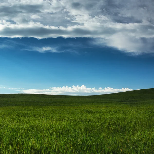 Campo verde e céu nublado — Fotografia de Stock