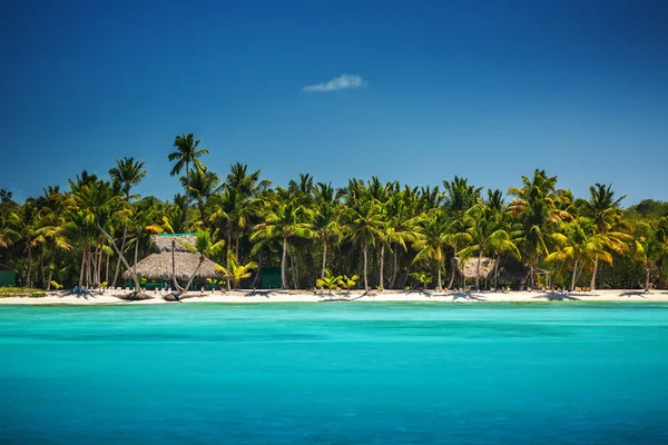 Palmiers sur la plage tropicale — Photo