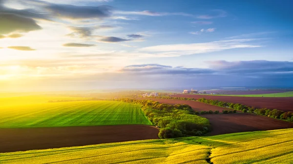 Вид с воздуха на сельскохозяйственные поля — стоковое фото
