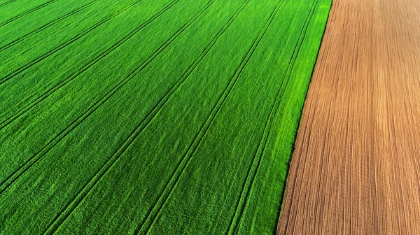 Luftaufnahme über die landwirtschaftlichen Felder — Stockfoto
