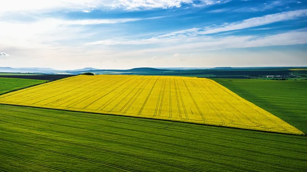 Aerial view over the agricultural fields — Stock Photo, Image