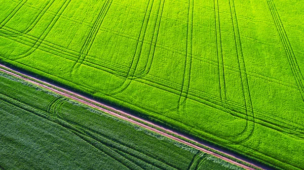 Letecký pohled na zemědělská pole — Stock fotografie