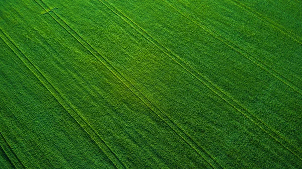 Vista aérea sobre os campos agrícolas — Fotografia de Stock