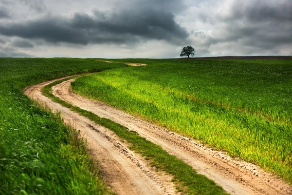 Albero, strada e nuvole drammatiche — Foto Stock