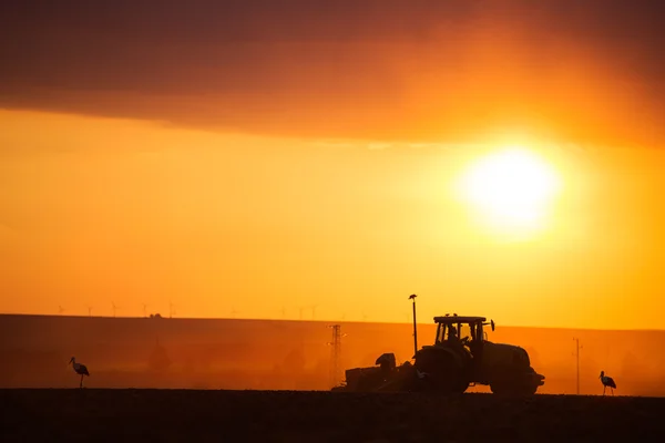 Agriculteur en tracteur préparant des terres avec cultivateur de lit de semence — Photo