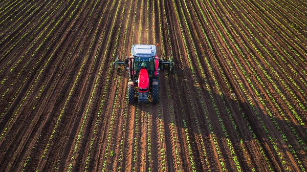 Campo de cultivo del tractor en primavera —  Fotos de Stock