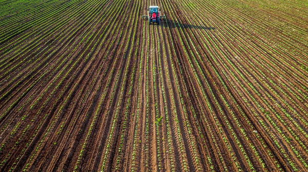 Champ de culture tracteur au printemps — Photo