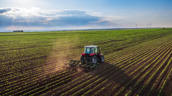 Trattore campo di coltivazione in primavera — Foto Stock