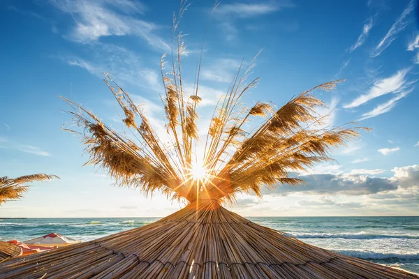Vivid sunrise on a beautiful sandy beach with sunshade — Stock Photo, Image