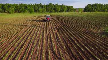 İlkbaharda traktör ekimi 