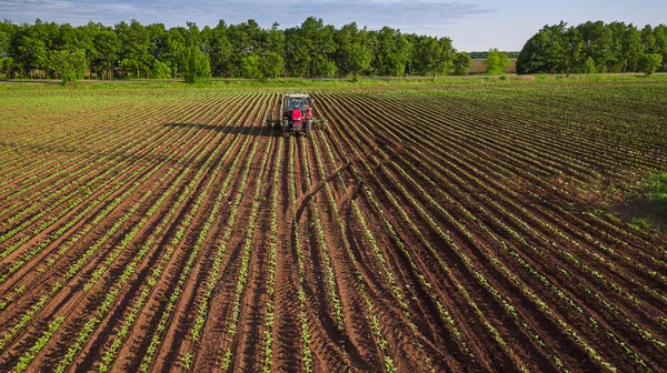 İlkbaharda traktör ekimi 