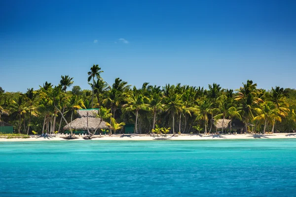 Palmeras en la playa tropical — Foto de Stock