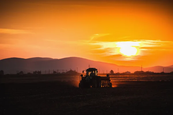 Beautiful sunset, farmer in tractor preparing land with seedbed — Stock Photo, Image