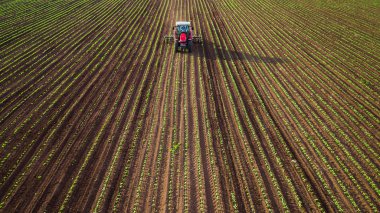 İlkbaharda traktör ekimi