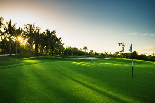 Campo da golf immerso nel verde — Foto Stock