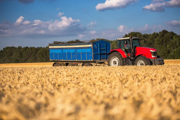 Červený traktor s modrým přívěsu ina pole — Stock fotografie