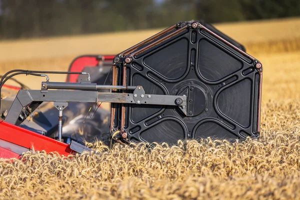 Combine harvester agriculture machine harvesting golden ripe whe — Stock Photo, Image