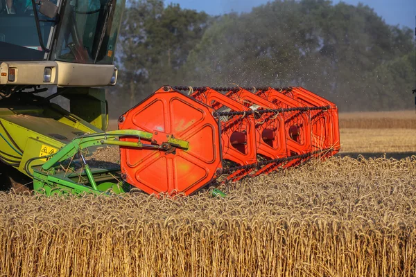 Combine harvester agriculture machine harvesting golden ripe whe — Stock Photo, Image