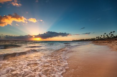 Egzotik plaj Dominik Cumhuriyeti, punta cana