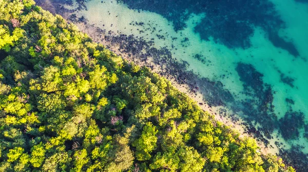 野生海滩的鸟瞰图 — 图库照片