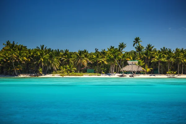 Exotische strand in punta cana, Dominicaanse Republiek — Stockfoto