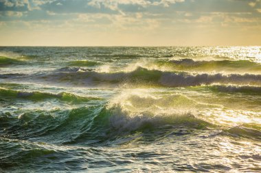 Yeni model forklift. izole atlıyorlar destekli platform 