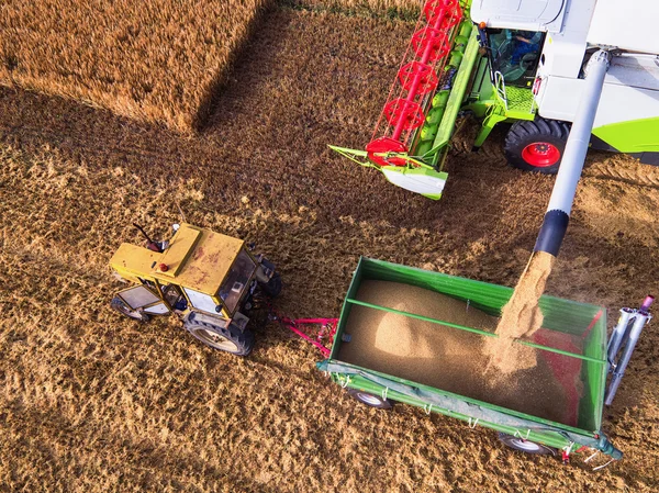 Aerial view of combine on harvest field — Stock Photo, Image