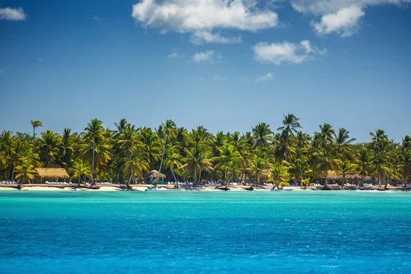 Palmbomen op het tropische strand — Stockfoto