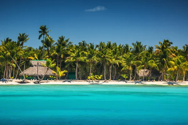 Palmbomen op het tropische strand — Stockfoto