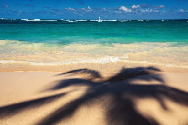 Palm trees shadow on the tropical beach Punta Cana, Dominican Re — Stock Photo, Image