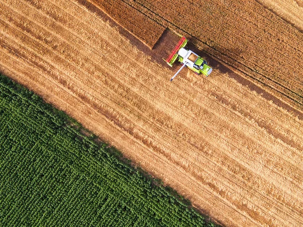 Luchtfoto van combineren op oogst veld Stockfoto