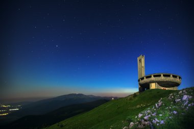 Güzel görüntü lavanta alan ve beyaz camomiles.