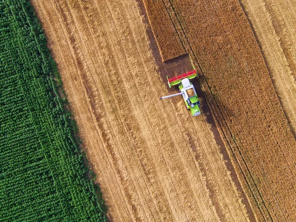 Воздушный обзор комбайна на поле для сбора урожая — стоковое фото