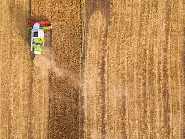 Colheita de trabalho Combine no campo de trigo — Fotografia de Stock