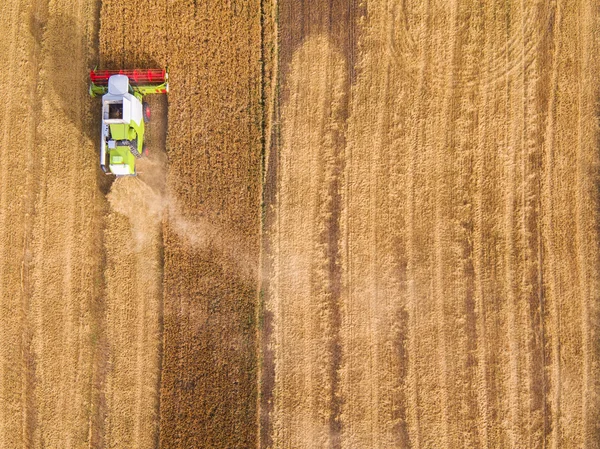 Combinaison de récolte de travail dans le domaine du blé — Photo