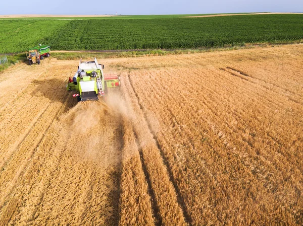 Vista aérea de la cosechadora en campo de cosecha —  Fotos de Stock