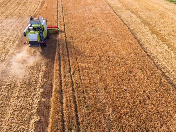 Flygfoto över kombinera på skörd fältet — Stockfoto