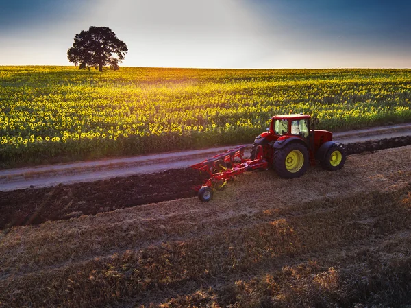 Mezőgazdasági termelő traktorban termőföld előkészítése vetőmagtermesztővel — Stock Fotó