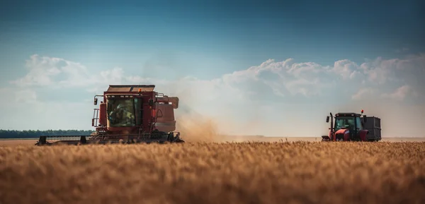 Kombinovat kombajn zemědělství stroj sběr zlatá zralé KD — Stock fotografie