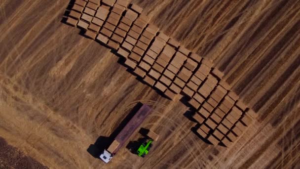Vista aérea dos campos de colheita com fardo, trator e empilhadeira ao pôr do sol — Vídeo de Stock