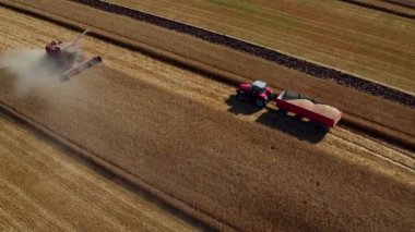 Günbatımı ve çalışma Hasat makineleri birleştirir ve traktörler buğday alan. Tarım kavramı, Video